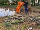 gardening and landscaping Image 3