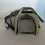 pet travel Image 2