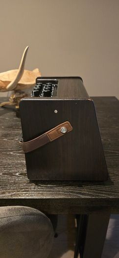 portable acoustic amplifier