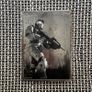 Halo 2 Limited Collectors Edition Tin 2 Disc Xbox Original Video Game Complete Image 2