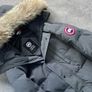 canada goose Image 3