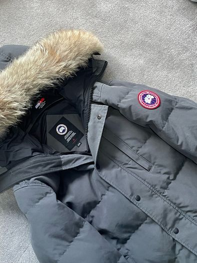 canada goose