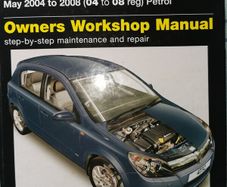 haynes