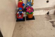 Huge Collection of Lego Minifigure Series