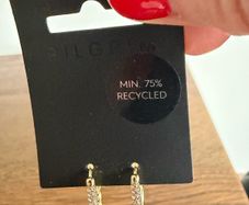 Pilgrim earrings
