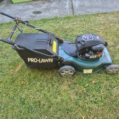 lawn