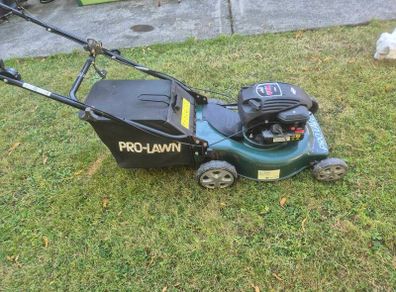 lawn