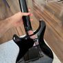 PRS S2 Standard Image 4