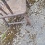Solid Chair Antique Image 2
