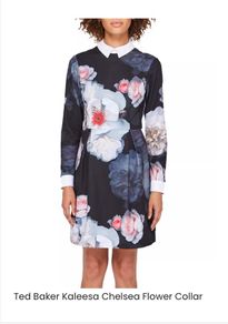 Ted Baker Kaleesa dress size 2