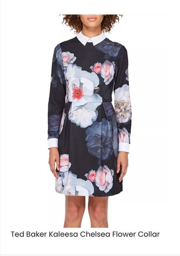 Ted Baker Kaleesa dress size 2