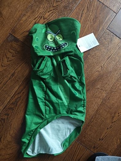 Rick and Morty pickle dog costume medium