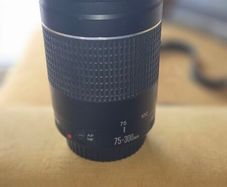 Canon 75-300 Lens