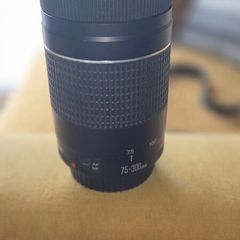 Canon 75-300 Lens