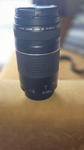 Canon 75-300 Lens