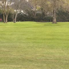 Golf Club Membership