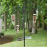 Bird feeding station Image 2