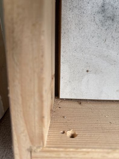 Attic ladder
