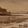 Strangford Lough by Ray Elwood Image 4