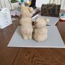 Teddybear tealights Image 5