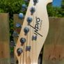 Indio Retro Telecaster - New - With Gig Bag Image 2