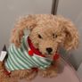 Beautiful dog christmas decoration Image 3