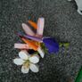 Blocks flowers collection Image 9
