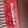 piano accordian...to include case Image 2