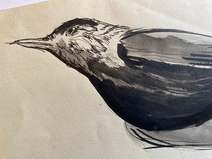 Ruth Brandt sketch