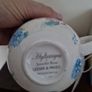 cup & saucer hydrangea Image 3