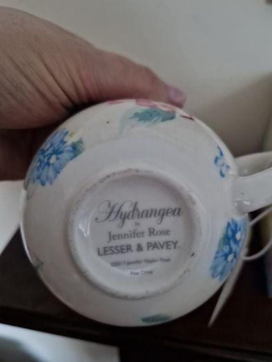 cup & saucer hydrangea