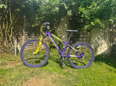 Carrera Mountain Bike Purple/Yellow