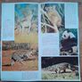 The World Wildlife Album - 3D Prints From Shell - Complete Image 3