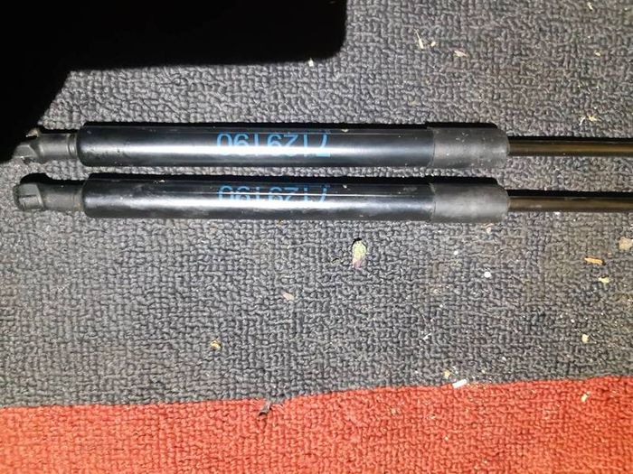 2010 BMW 320 Pair of Bonnet Gas Struts Stays 7129190