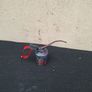 vintage oil can postage possible Image 3