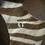 Large Cowhide Rug- Zebra Pattern Image 4