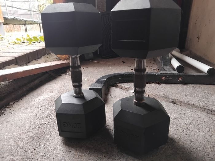 20kg dumbbells