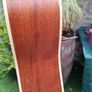Cort 12 string Image 5