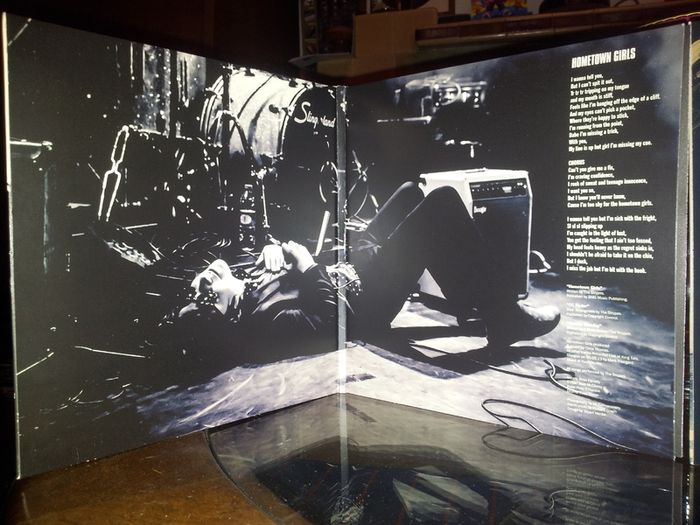 the strypes vinyl lot
