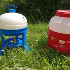 Gaun Poultry Drinker & Feeder Set with Legs (Chicken / Duck)