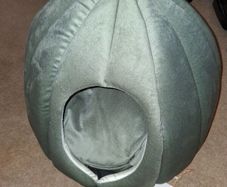 Cat bed new