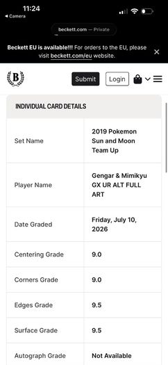 Gengar and Mimkyu Team Up 165