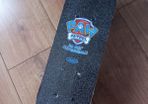 Paw patrol mini skateboard