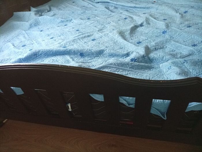 bed