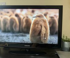 TV Samsung - 32 inch
