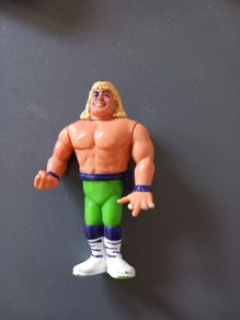 wrestling figure Sean Michaels the Rockers