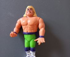 wrestling figure Sean Michaels the Rockers