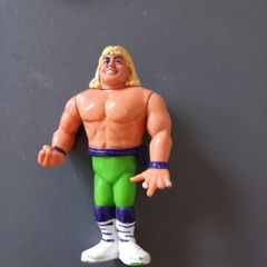 wrestling figure Sean Michaels the Rockers