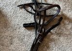 Bridle and various tack accessories