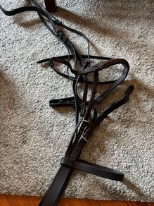 Bridle and various tack accessories